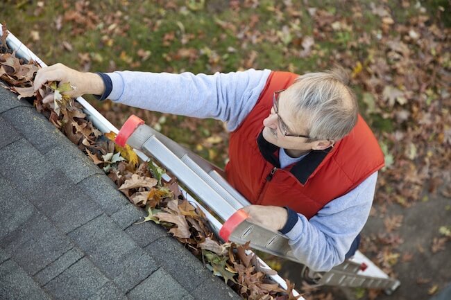 Here is how getting your gutters cleaned will save you money in the long run