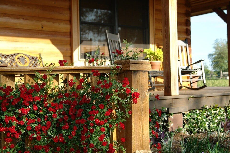 Porch, Farm, Roses, House, Home, Country, Wood