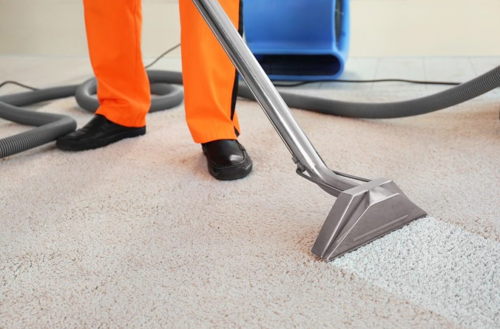 Why should you hire a professional for cleaning your rug?