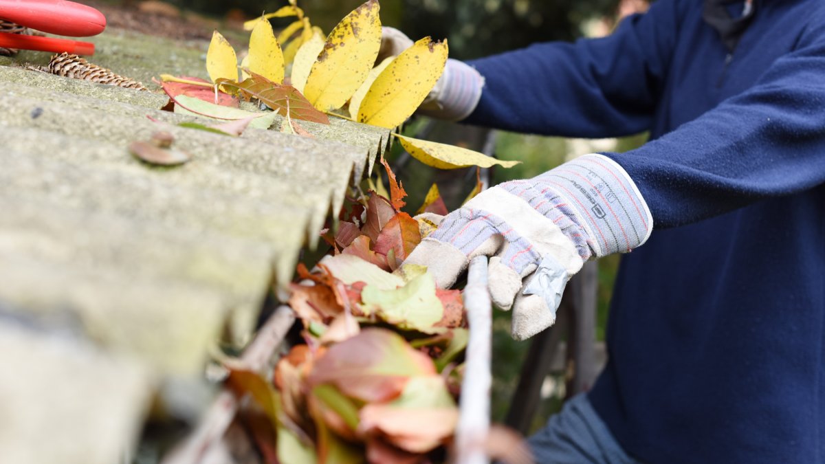7 Gutter Maintenance Tips Every Homeowner Should Know