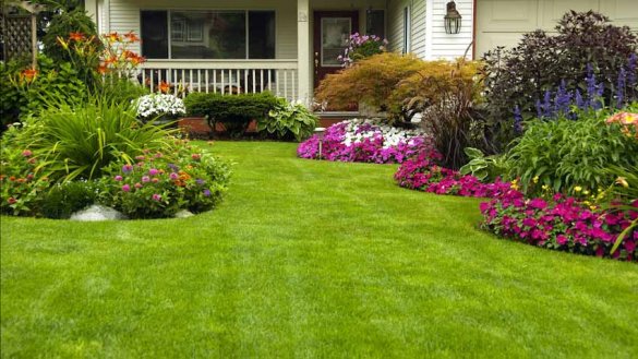 C:\Users\Zedex\Downloads\lawn.jpg
