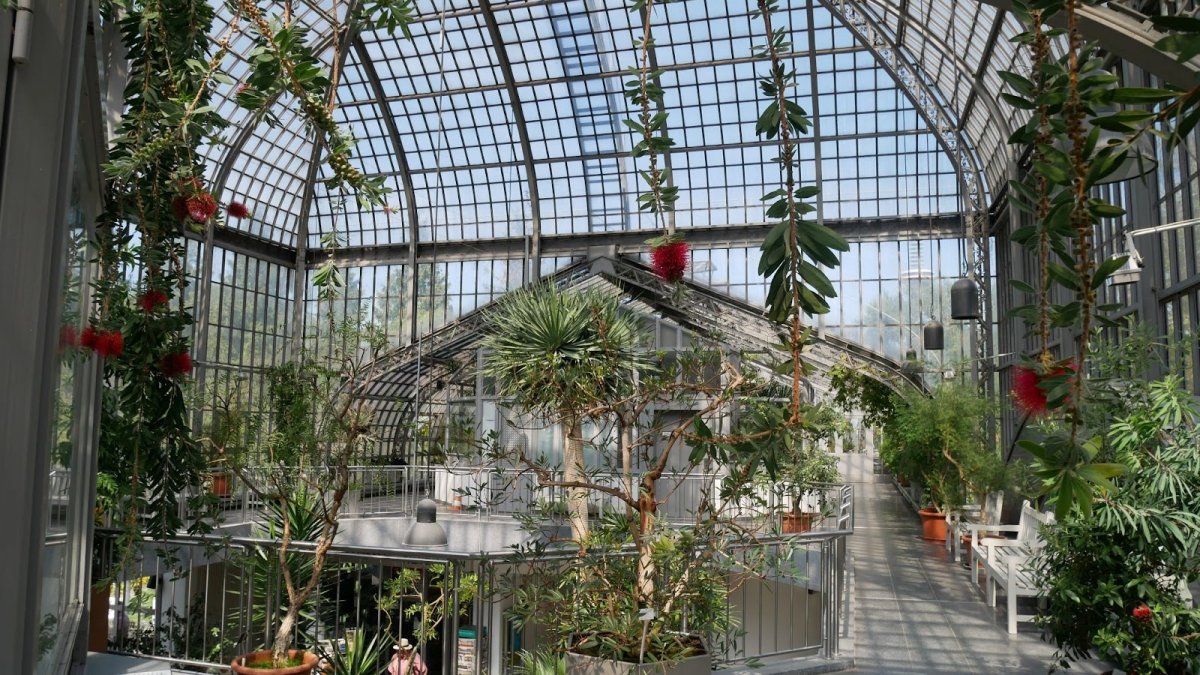 3 Beautiful Greenhouse Designs for Your Property