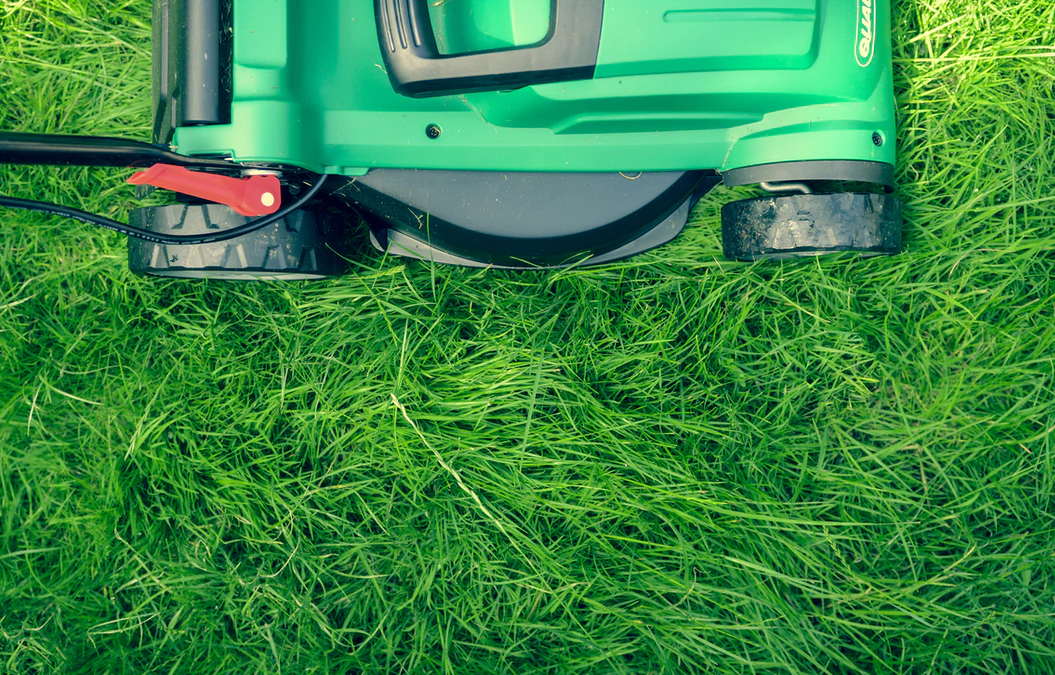 Best Tips For Looking After A New Lawn