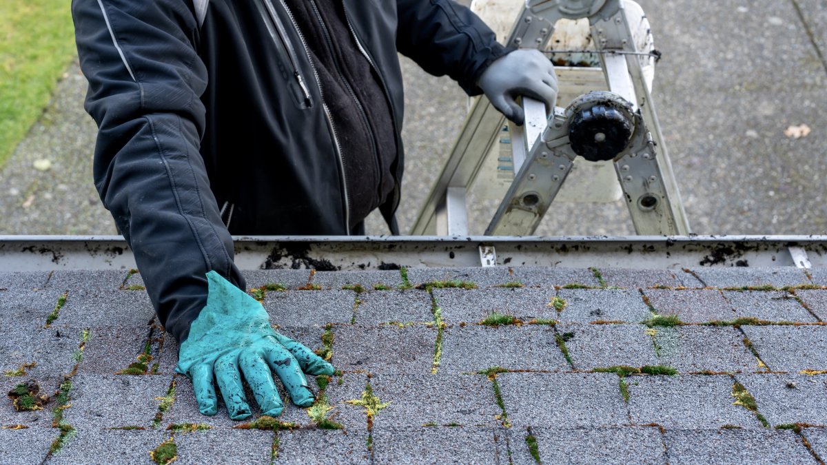 4 Do’s And Don’ts Of Roof Cleaning