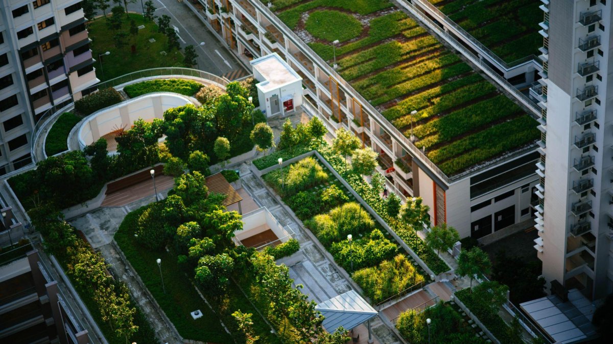 How to Create an Energy-Efficient Garden?