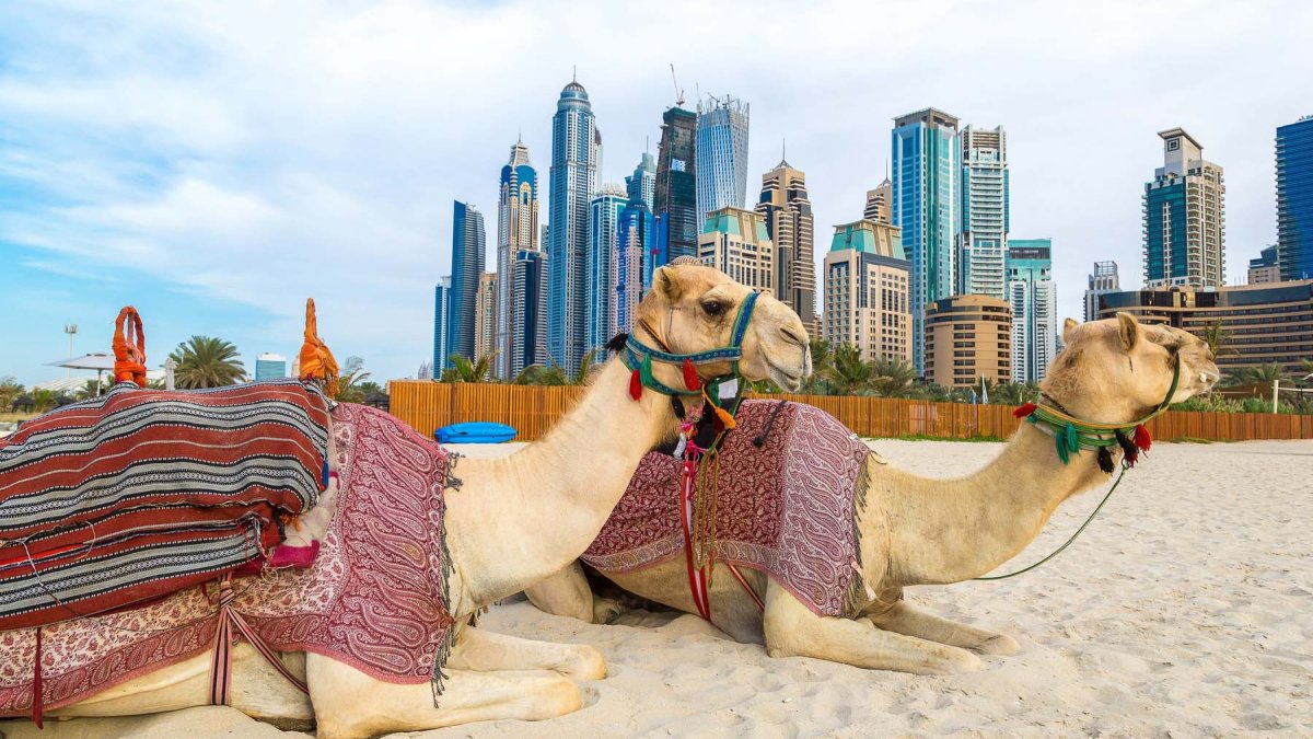How a pensioner can relocate to Dubai?