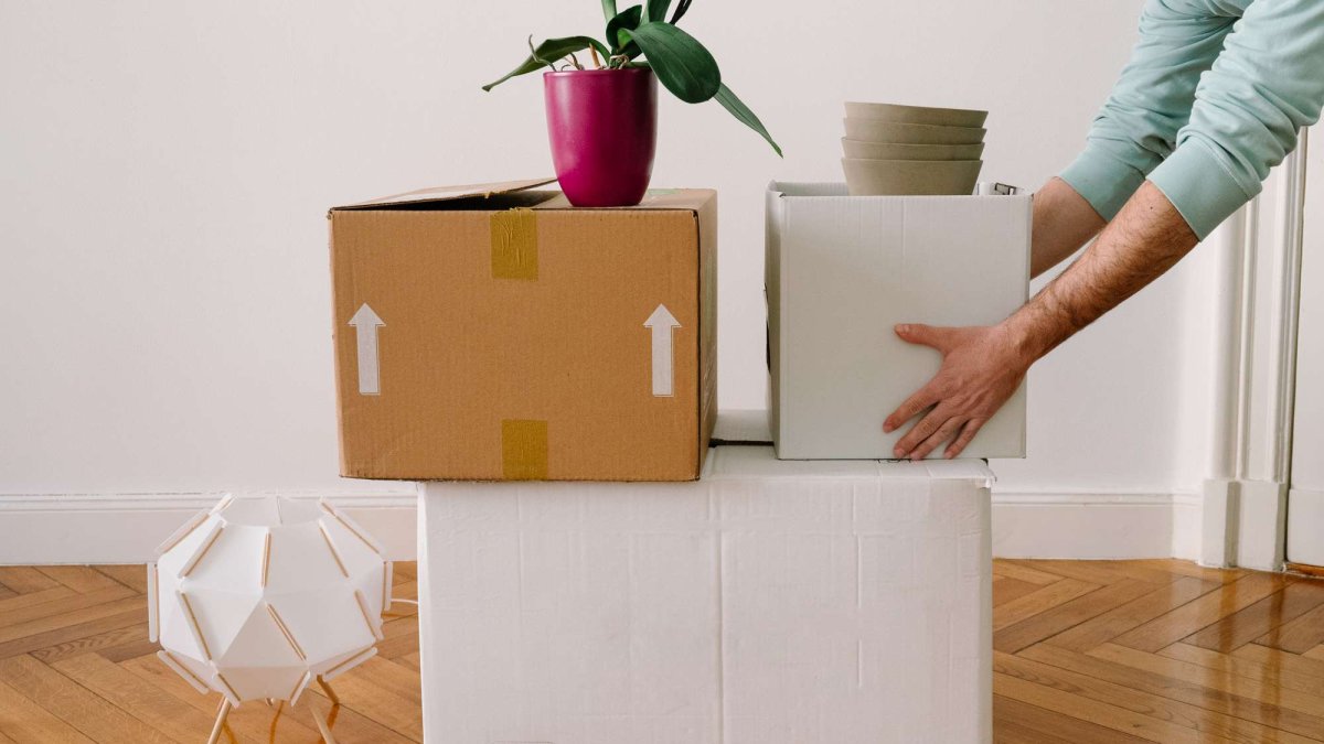 Organizing Your Move: Services That Can Help