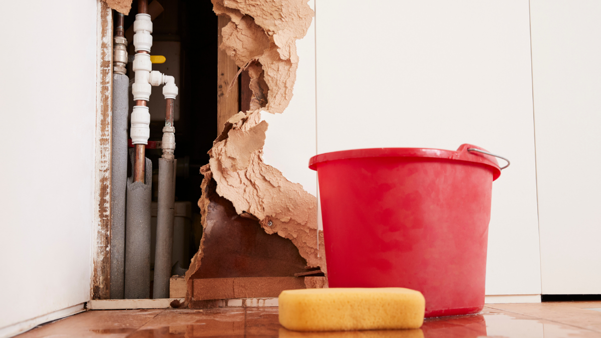 Water Damage Cleanup and Recovery: Why It’s Important