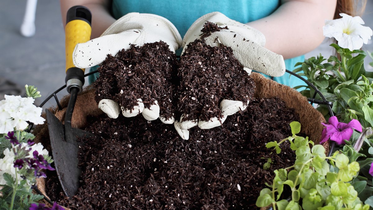 How To Choose The Right Soil For Your Garden