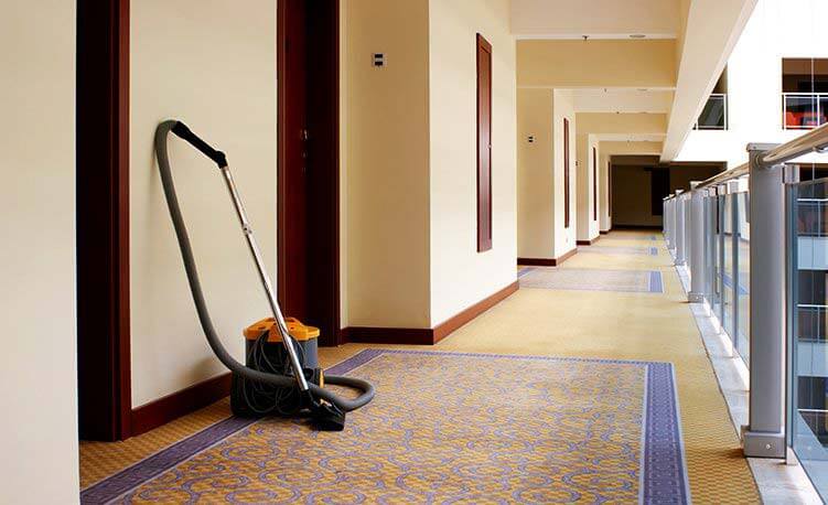Get professional cleaning services in Bellevue at affordable rates!