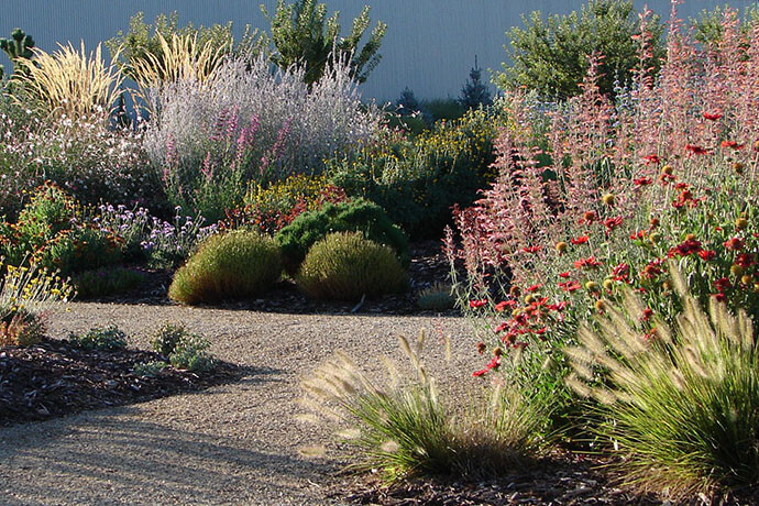 Best Practices for Sustainable Landscaping In Colorado
