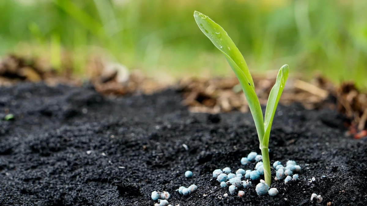 Different Types of Fertiliser for Your Garden