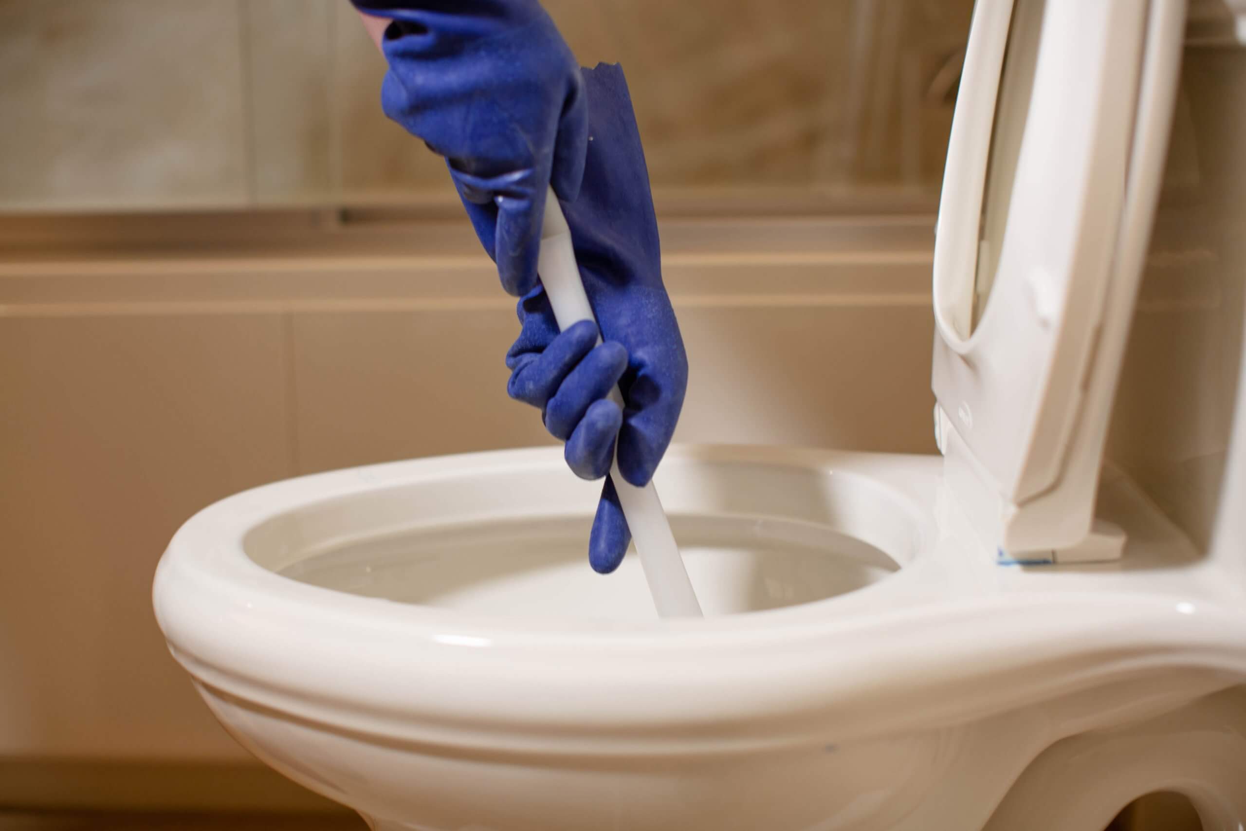 What to Do When the Toilet Clogs