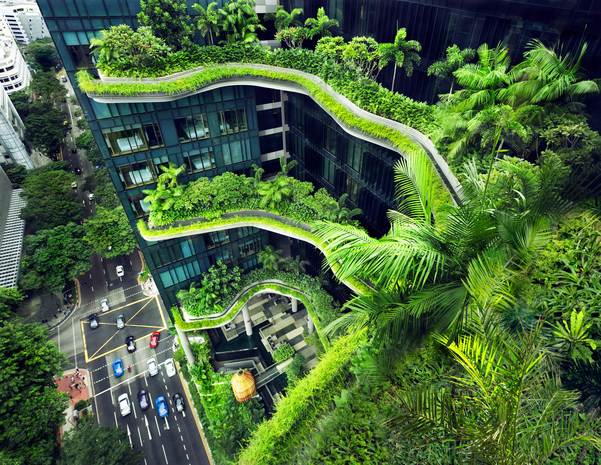 Implementing the Concept of Green Architecture in the Construction Industry