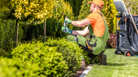 Top 5 Benefits of Hiring a Professional Landscaping Company