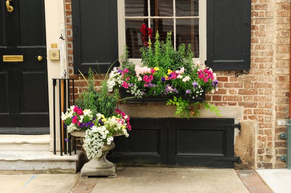 The Art Of Arrangement: Design Tips For Stunning Window Box Flower Displays