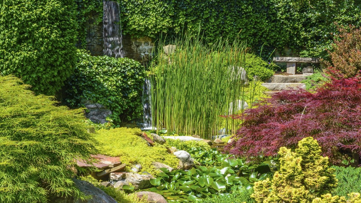 Creating a Harmonious Garden: A Comprehensive Guide to Choosing Plants, Shrubs, Trees, and Grasses Suited to Your Climate and Light Conditions