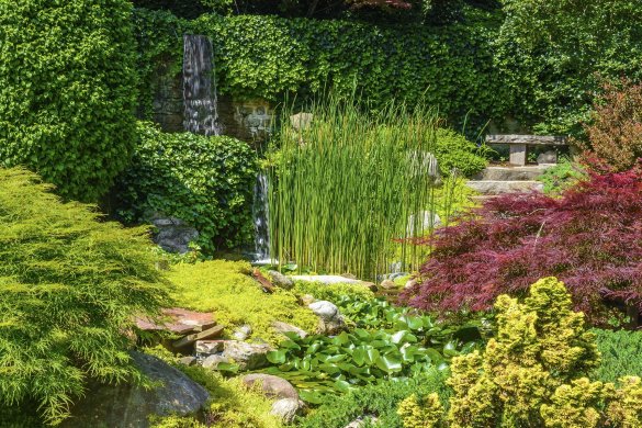Creating a Harmonious Garden: A Comprehensive Guide to Choosing Plants, Shrubs, Trees, and Grasses Suited to Your Climate and Light Conditions