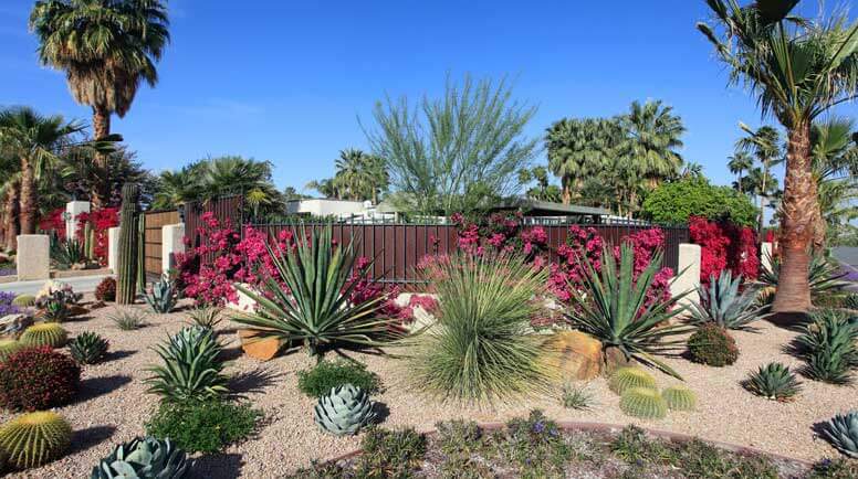 Xeriscaping in Northern California: Sustainable Landscaping for a Water-Scarce Region