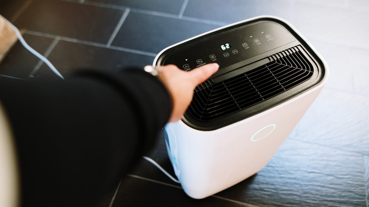 Can a Dehumidifier or Air Purifier Eliminate Mold in Homes?