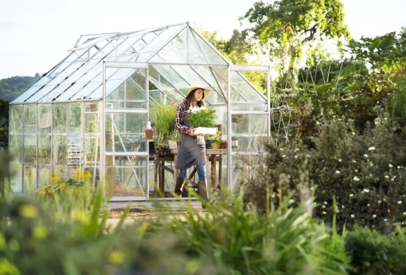 Selecting the Perfect Location for Your Lean-to Greenhouse