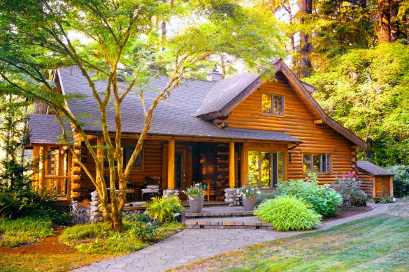 Maintaining and Sustaining: Log Cabin Care in Canada's Harsh Climate