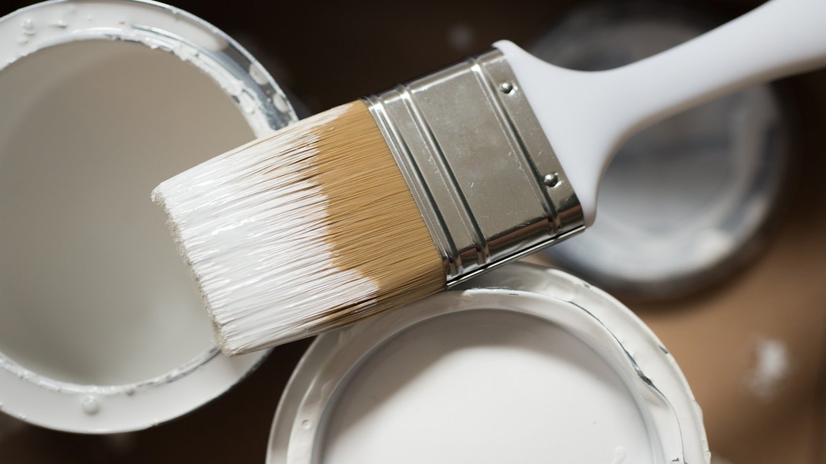 Why You Should Trust Professional Commercial Painters in Melbourne