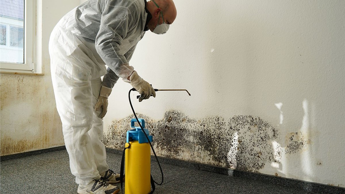 Mold Removal in Ijamsville MD | Water Damage and Building Restoration
