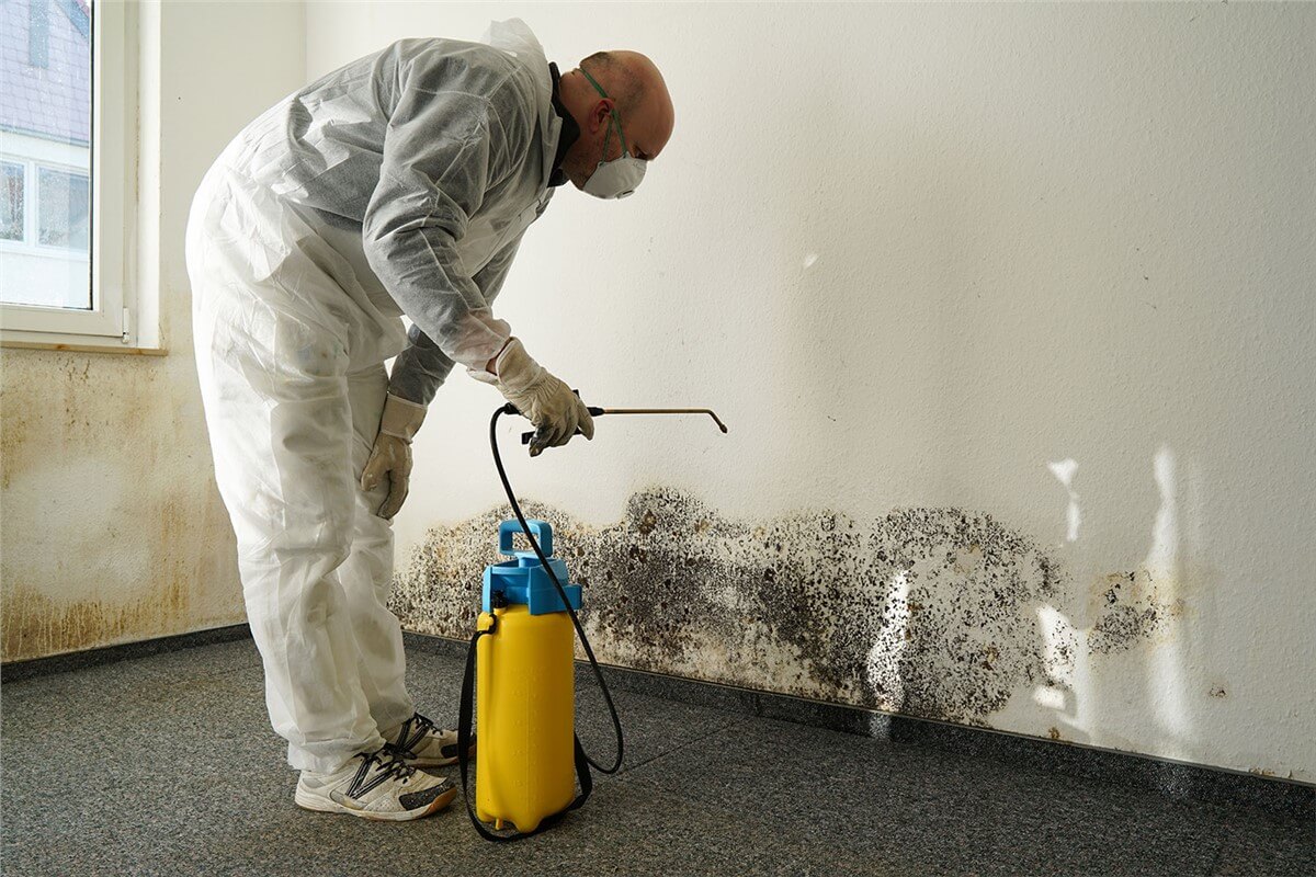 Mold Removal in Ijamsville MD | Water Damage and Building Restoration