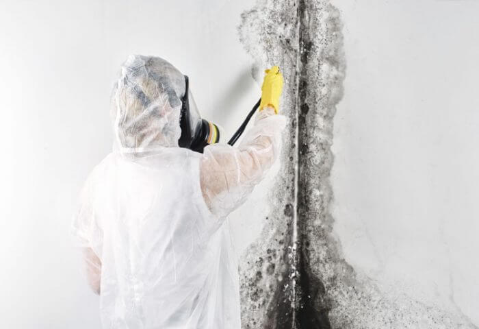 Mold Removal in Ijamsville MD | Water Damage and Building Restoration