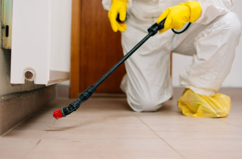 10 Effective Pest Control Tips for a Pest-Free Home
