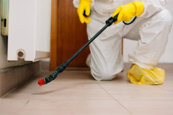 10 Effective Pest Control Tips for a Pest-Free Home