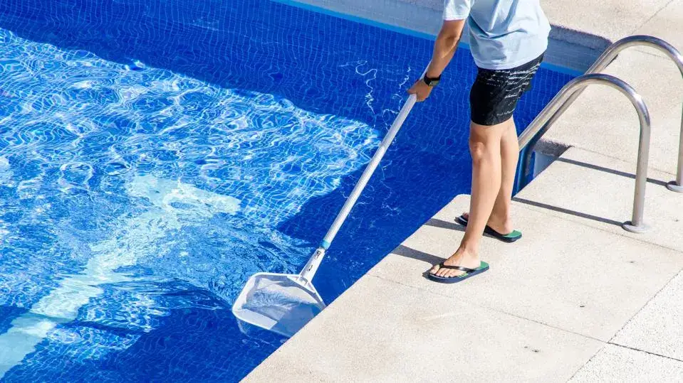Everything You Need to Know About Swimming Pool Services