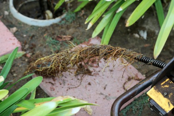 5 Ways To Get Rid Of Roots From Your Drain Pipe