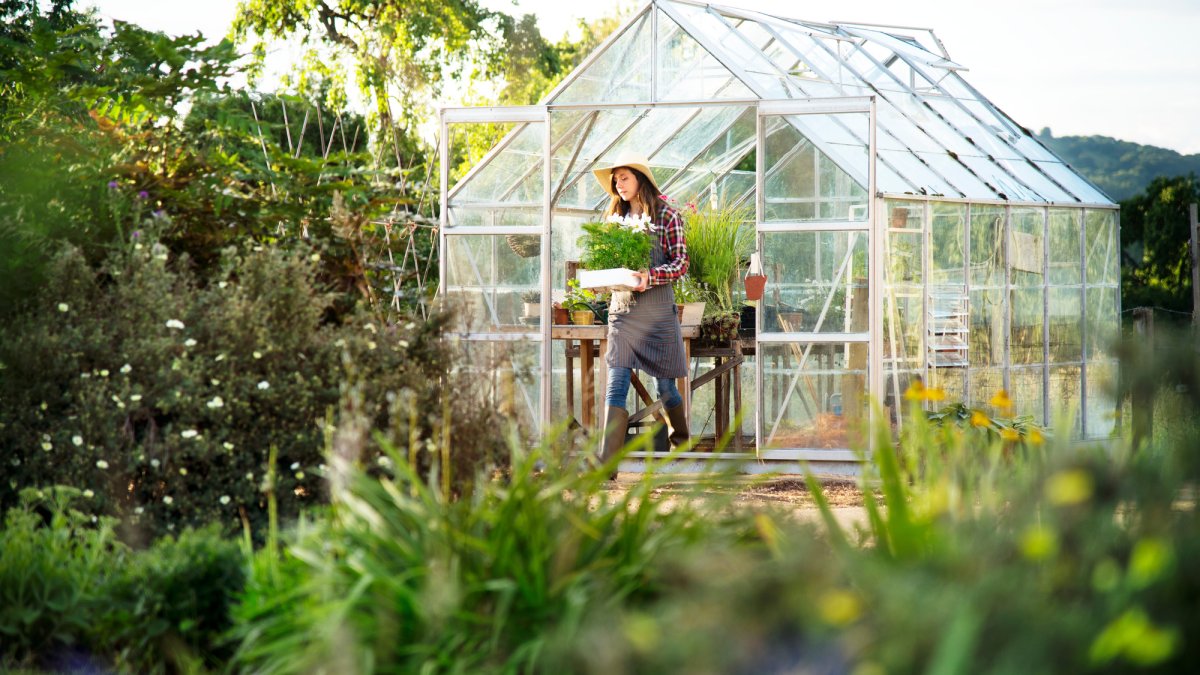 Choosing The Right Glasshouse for Your Gardening Needs