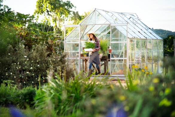 Choosing The Right Glasshouse For Your Gardening Needs