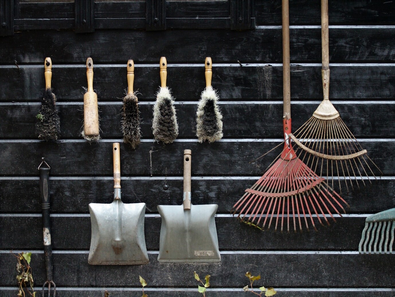 A group of brooms and rakes on a wall

Description automatically generated