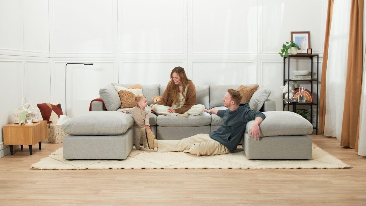 Canadian Sofa in a Box : Shopping Just Got a Whole Lot Easier