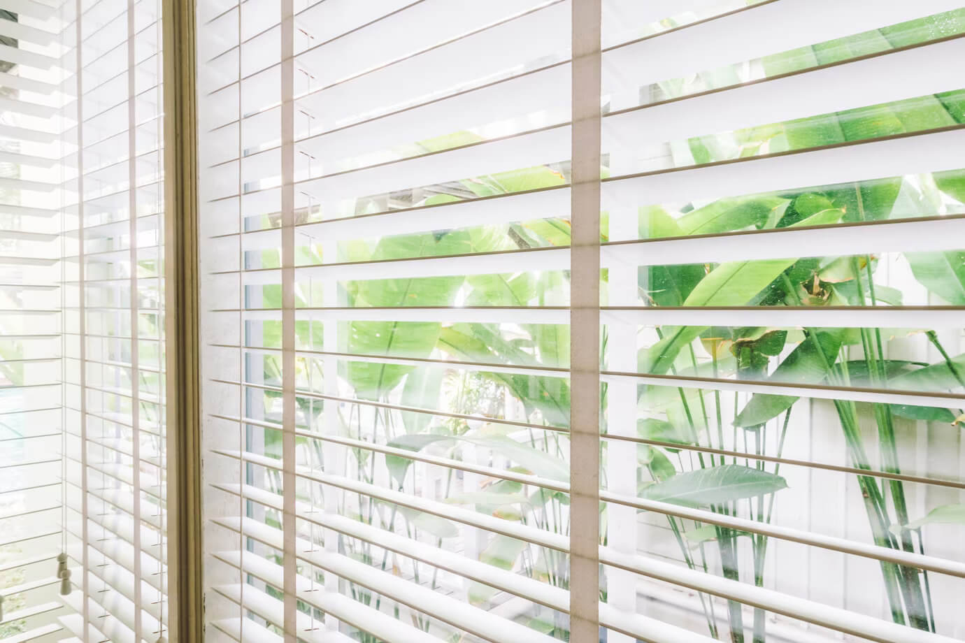 Unlocking Elegance and Functionality: Why Roller Blinds Deserve Your Investment