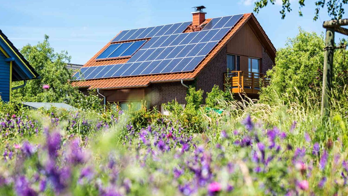 6 Ways You Can Make Your Home Sustainable in 2024