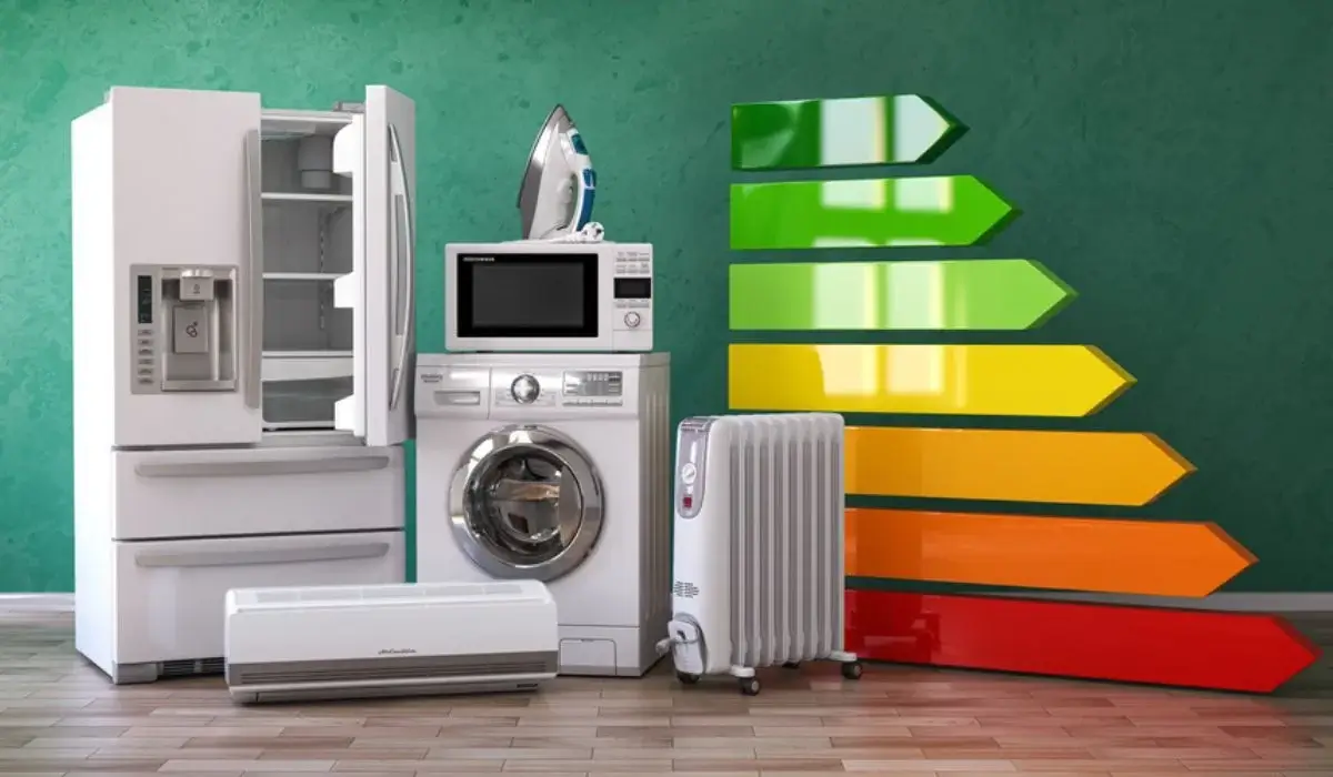 Investing in Energy-Efficient Appliances