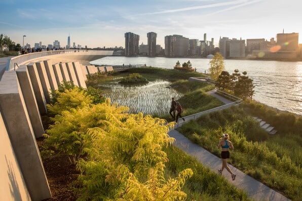 Innovations in Urban Landscaping