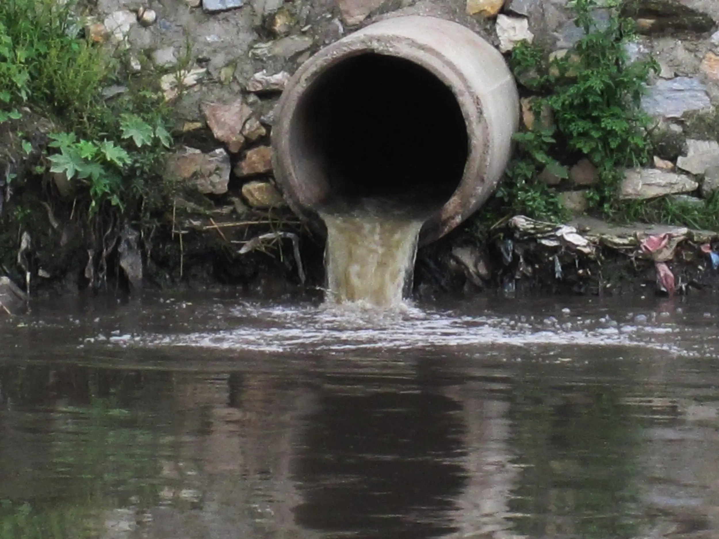 Proper Process for Disposing of a Septic Tank