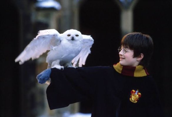 Where to Watch Harry Potter Movies for Free