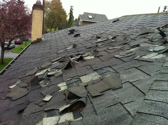 Expert Storm Damage Restoration Solutions by Dynamic Roofing Concepts