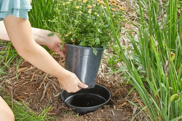 12 Genius Garden Hacks You Wish You Knew Sooner