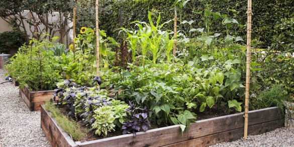 Time-Saving Hacks for a Well-Maintained Garden