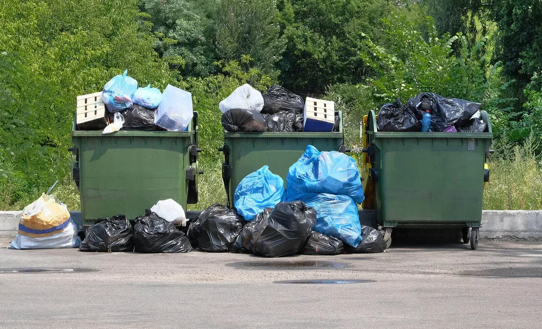 Trash Trouble? How to Stop Your Bin from Filling Up Too Fast