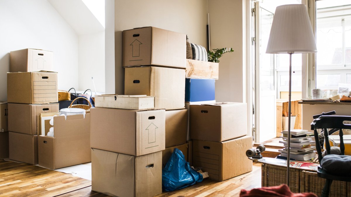 Why Hiring a Removals Company Saves You Time, Money, and Stress