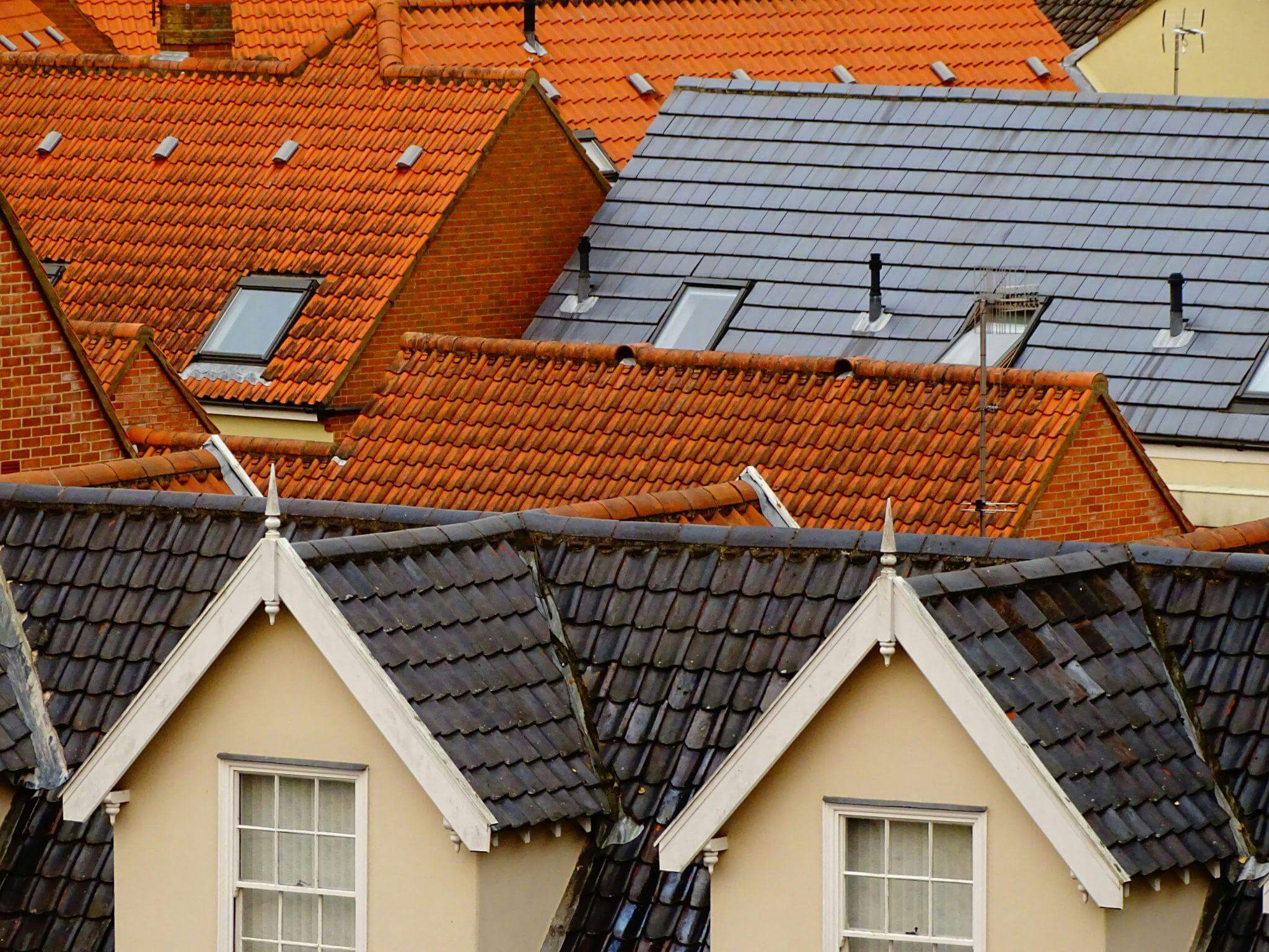 How to Maintain Your Roof Shingles to Increase Their Lifespan

